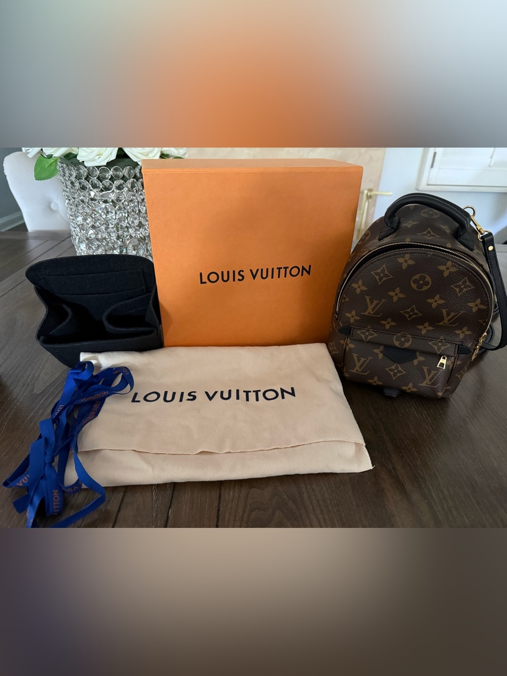 Louis Vuitton Palm Springs Mini